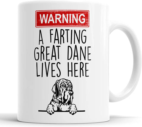 Great Dane Warning A Farting Lives Here Mug