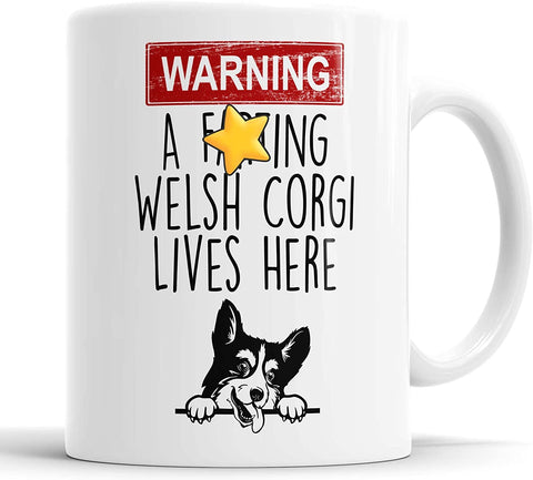 Warning A Farting Welsh Corgi Lives Here Mug