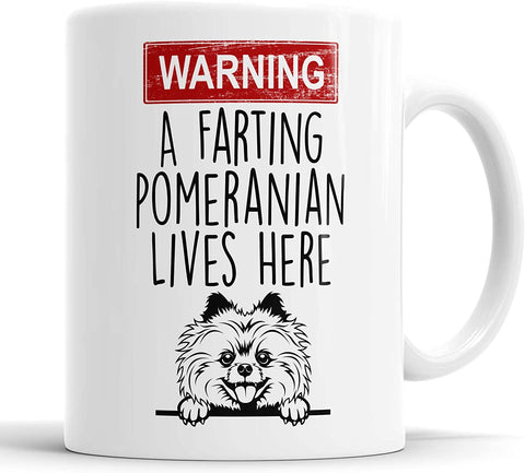 Warning A Farting Pomeranien Lives Here Mug