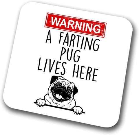 Pug Warning A Lives Here Mum Dad Coaster Dog Dad Pug Dad  Friend Funny Gift for Birthday Christmas, Pug Mum Coaster