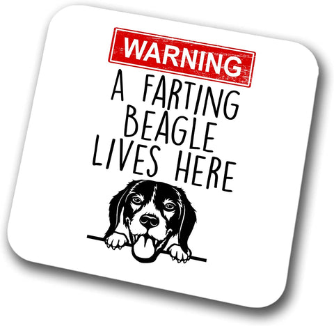 Beagle Warning A Lives Here Mum Dad Coaster Dog Dad Beagle Dad  Friend Funny Gift for Birthday Christmas, Beagle Mum Coaster