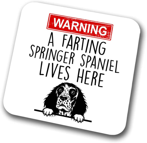 Springer Spaniel Warning A Lives Here Mum Dad Coaster Dog Dad Springer Spaniel Dad  Friend Funny Gift for Birthday Christmas, Springer Spaniel Mum Coaster