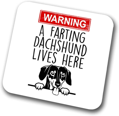 Dachshund Warning A Lives Here Mum Dad Coaster Dog Dad Dachshund Dad  Friend Funny Gift for Birthday Christmas, Dachshund Mum Coaster
