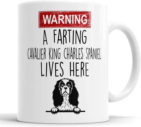Warning A Farting Cavalier King Charles Spaniel Lives Here Mug