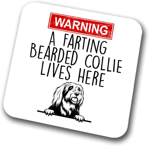 Bearded Collie Warning A Lives Here Mum Dad Coaster Dog Dad Bearded Collie Dad  Friend Funny Gift for Birthday Christmas, Bearded Collie Mum Coaster