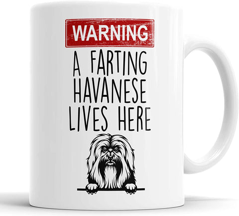 Warning A Farting Havanese Lives Here Mug