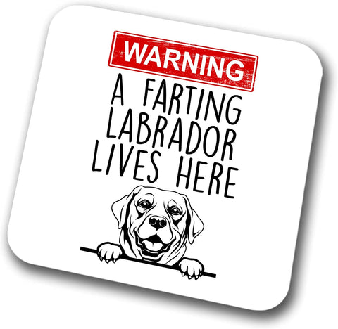 Labrador Warning A Lives Here Mum Dad Coaster Dog Dad Labrador Dad  Friend Funny Gift for Birthday Christmas, Labrador Mum Coaster