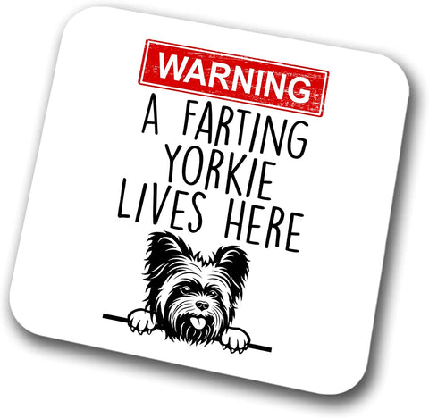 Yorkie Warning A Lives Here Mum Dad Coaster Dog Dad Yorkshire Terrier Dad  Friend Funny Gift for Birthday Christmas, Yorkie Mum Coaster