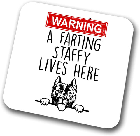 Staffy Warning A Lives Here Mum Dad Coaster Dog Dad Staffordshire Bull Terrier Dad  Friend Funny Gift for Birthday Christmas, Staffy Mum Coaster