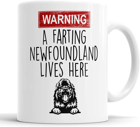 Warning A Farting Newfoundland Lives Here Mug